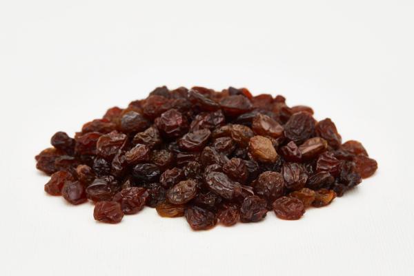 Organic Oil Free Raisins for Trading