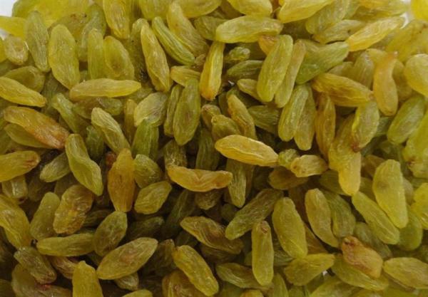 Natural Green Raisins for Selling