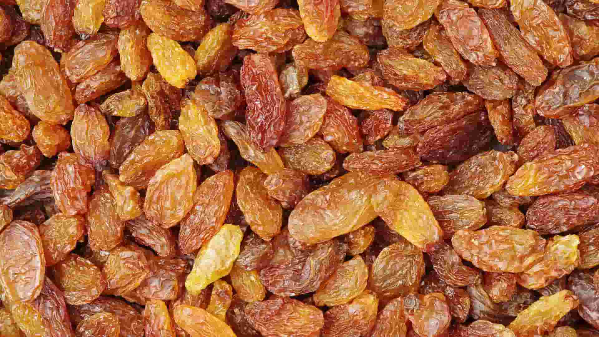  golden raisins Purchase Price + Sales In Trade And Export 