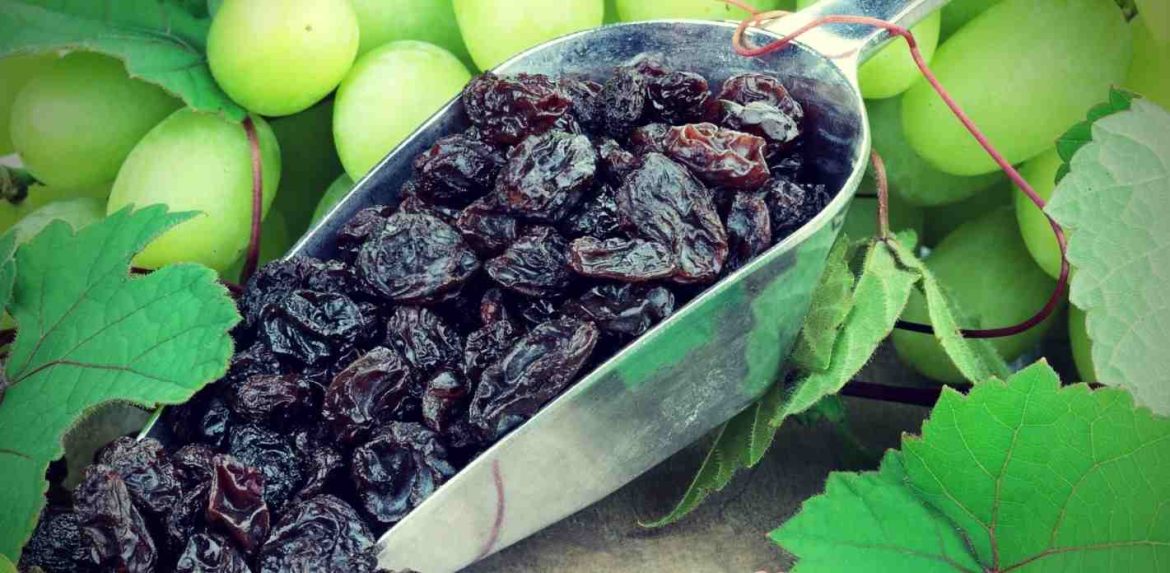 Buy The Latest Types of raisins in pregnancy