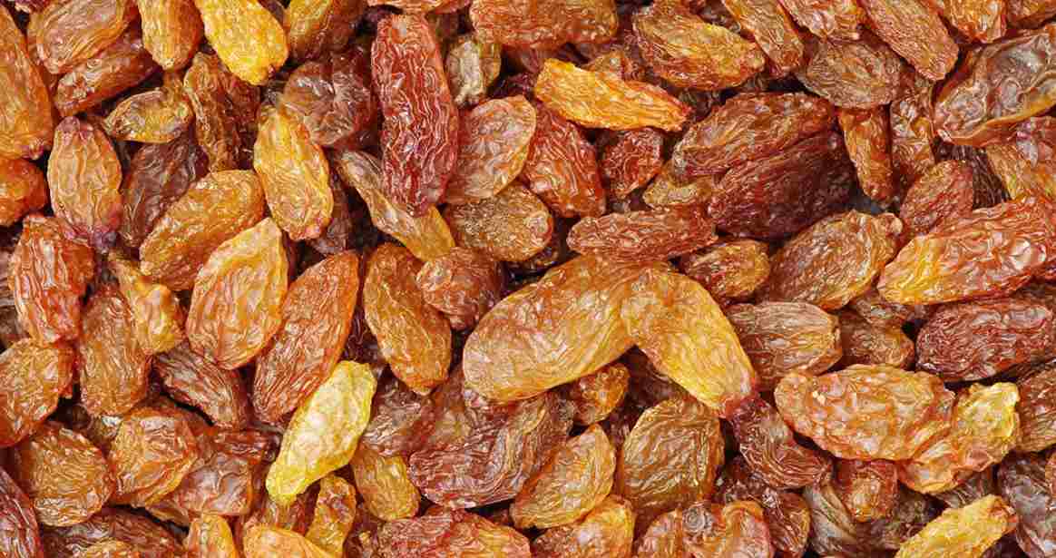  Raisins or Sultanas purchase price + sales in trade and export 