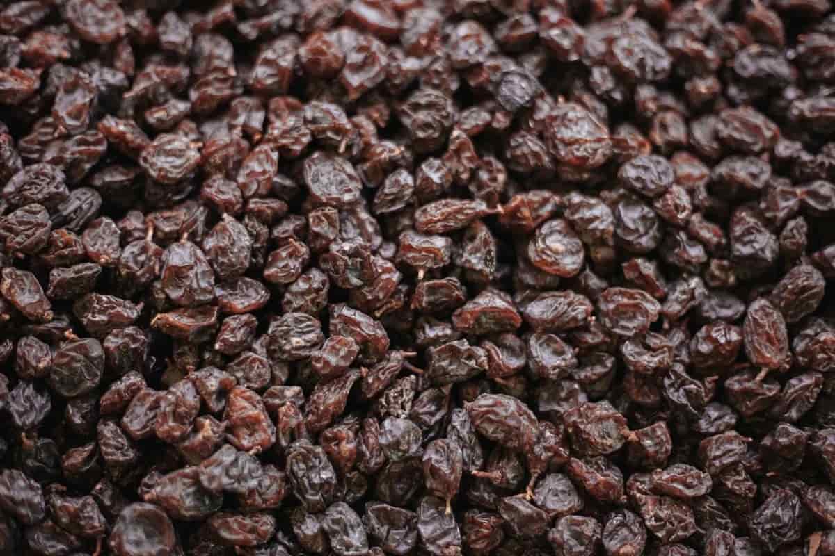  Black raisins in Hindi meaning benefits water conceiving 