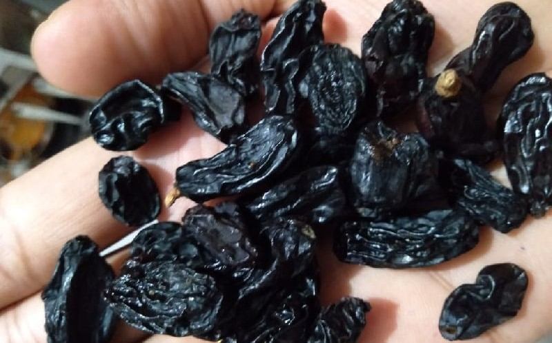  introducing colored raisins + the best purchase price 