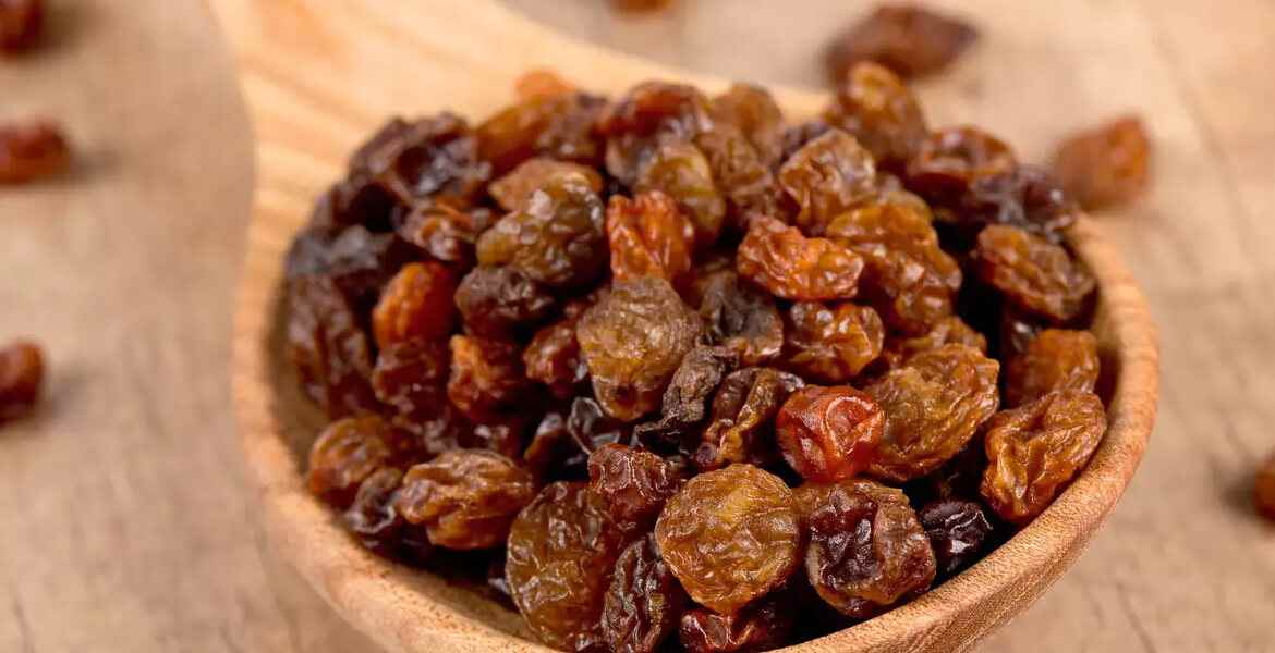  the price of Indian raisins + wholesale production distribution of the factory 