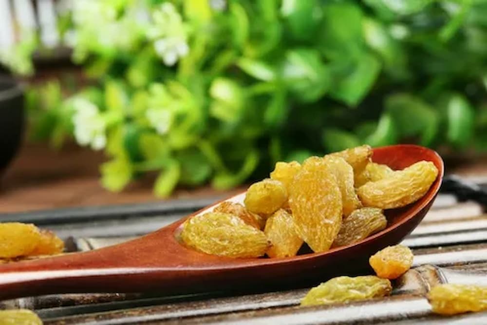  High-quality golden raisins purchase price + quality test 
