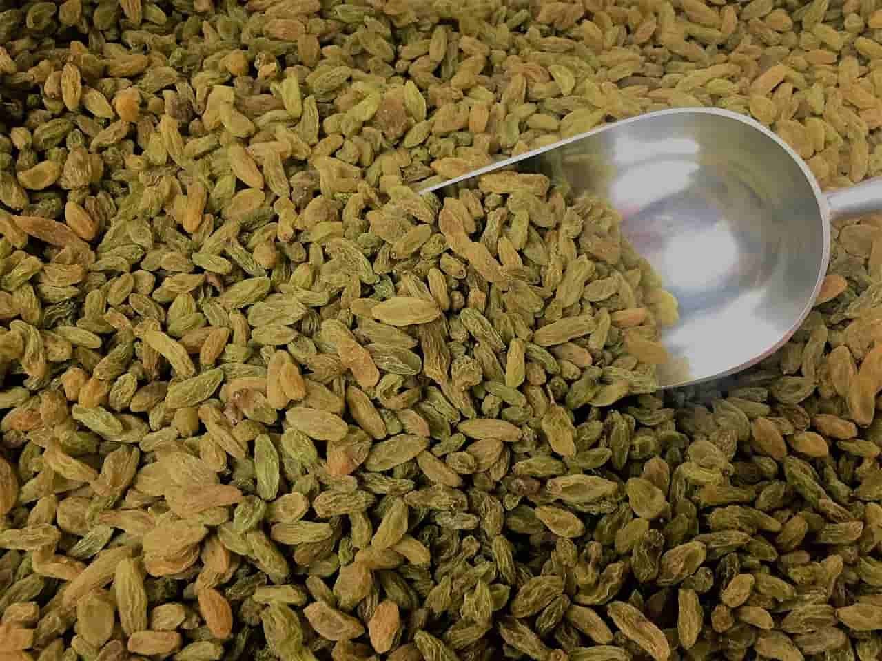  Green Raisins Price in Delhi 