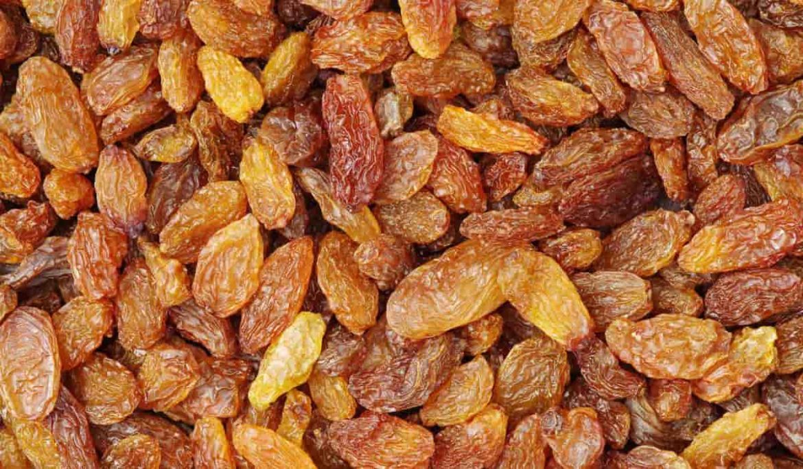 Buy Gulden Nuts Raisins Types + Price