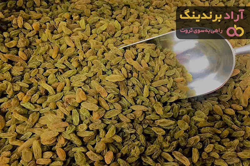  Afghan Green Raisins Price 