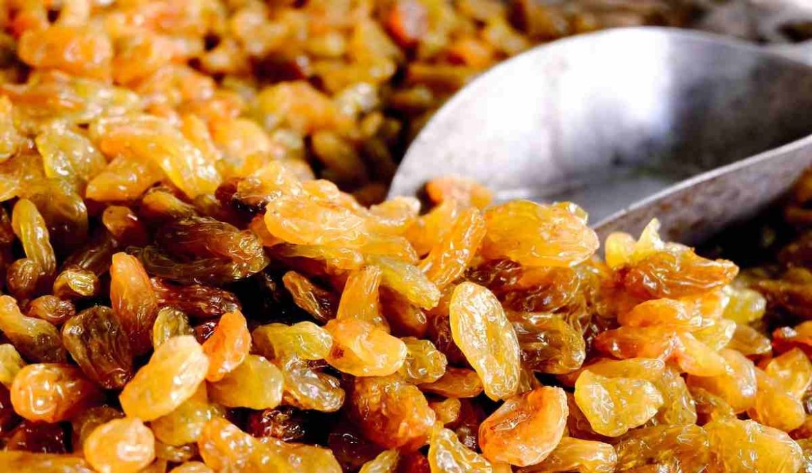 Buy golden raisins bulk + great price