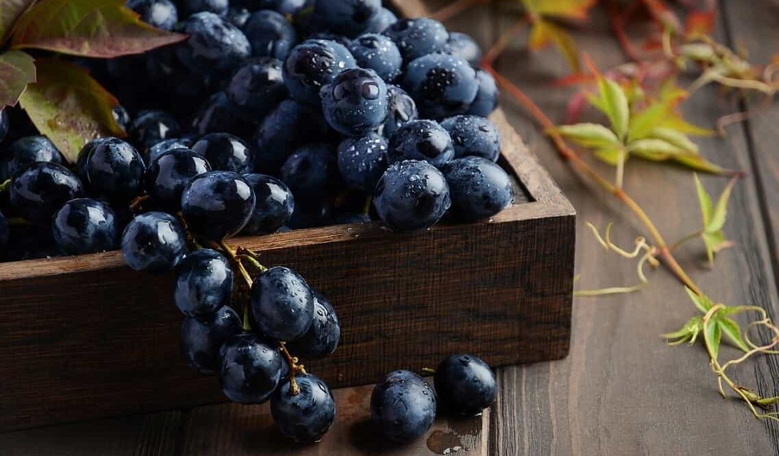  Buy organic dried black grapes + Best Price 