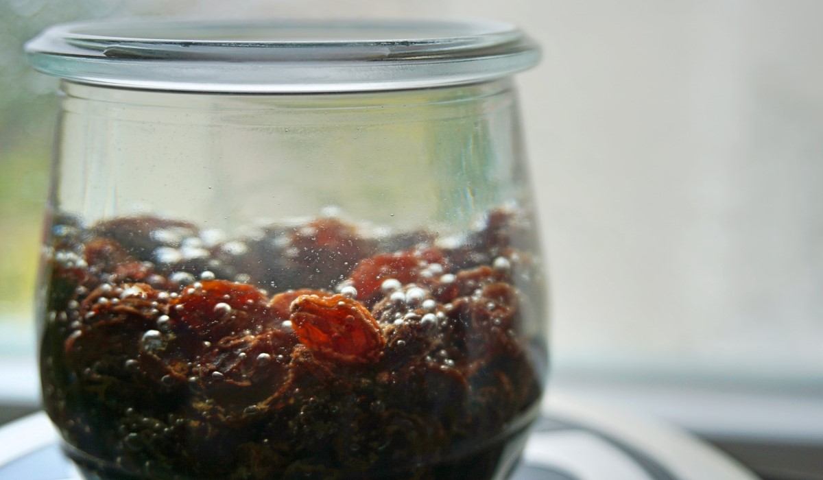  Water Soaked Raisins Price + Wholesale and Cheap Packing Specifications 