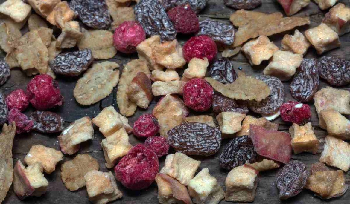 Introduction of dehydrate raisins + Best buy price