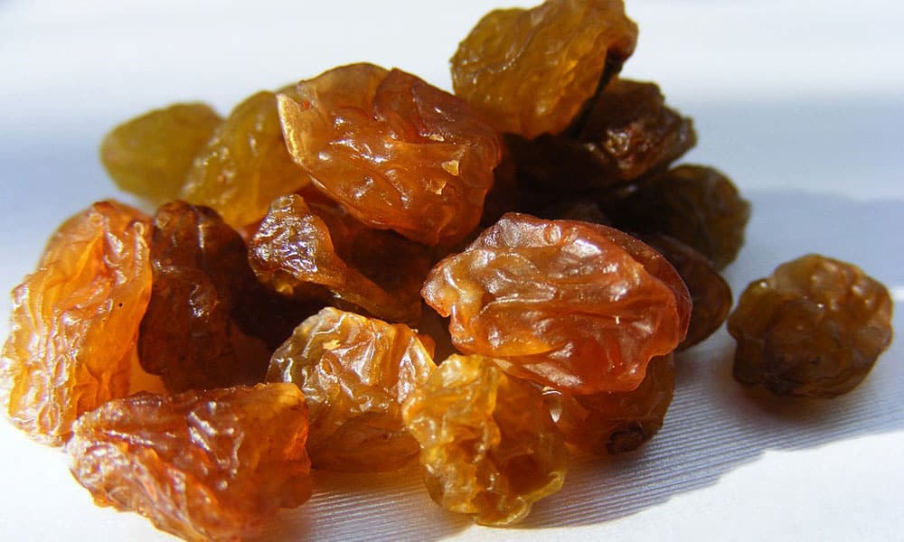  Purchase and price of refrigerated golden raisins types 