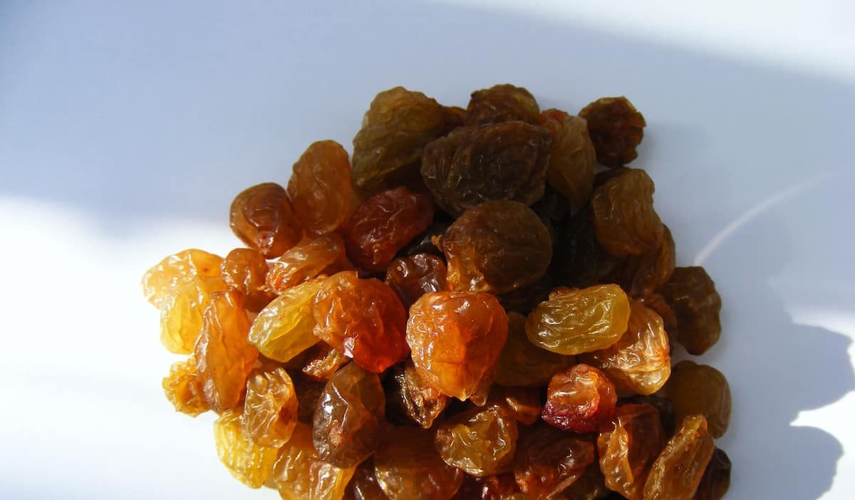  Purchase and price of refrigerated golden raisins types 