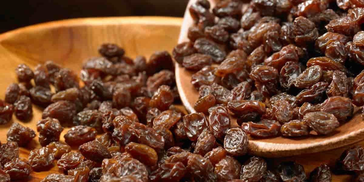  raisins toxic quality avoid dogs eat 