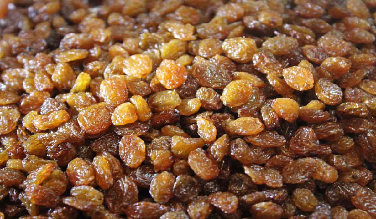  what is sultana raisins + purchase price of sultana raisins 