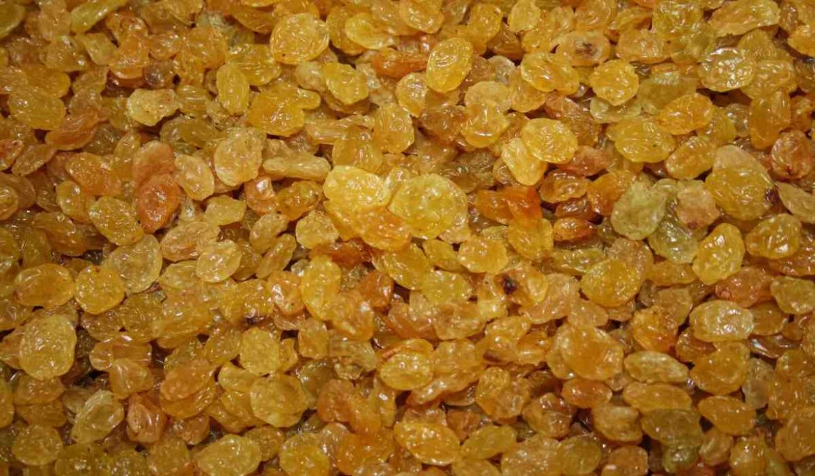 organic unsulphured golden raisins