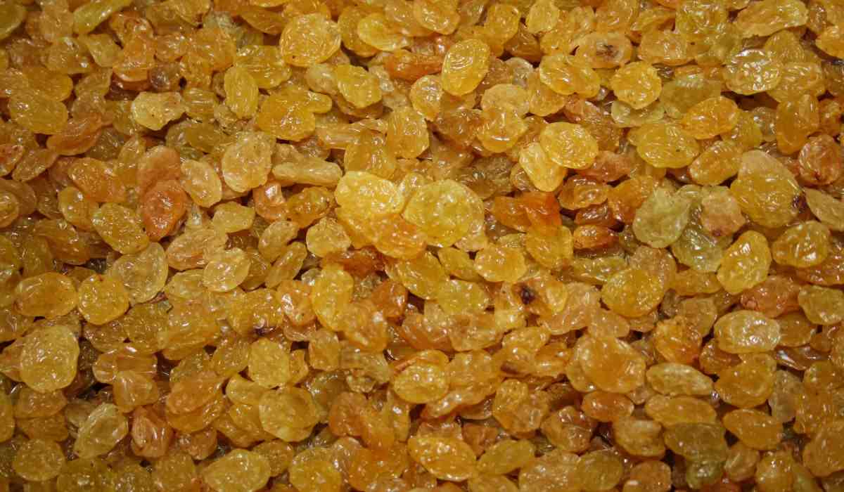  organic unsulphured golden raisins 