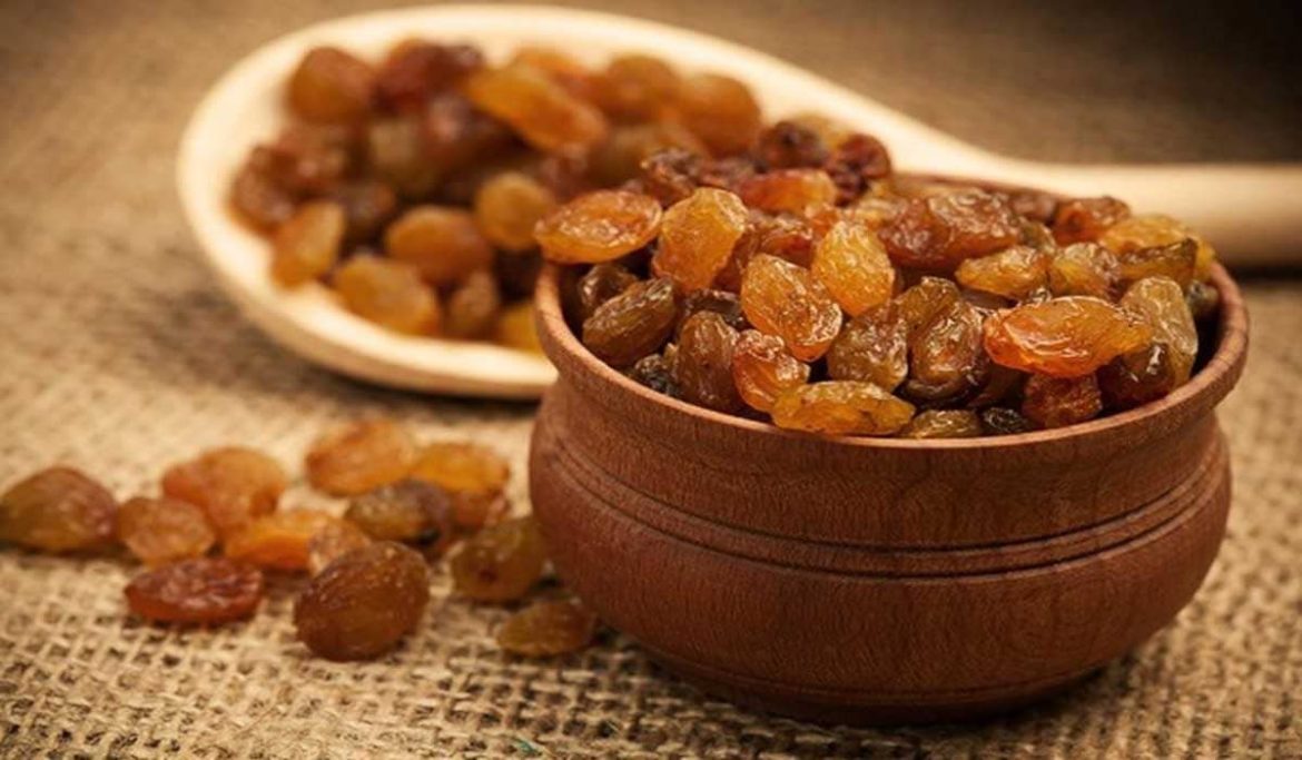 Buy Thompson raisin | Selling All Types of thompson raisin At a Reasonable Price