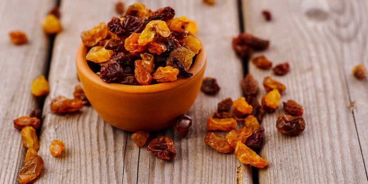 pregnancy reddit raisins price + wholesale and cheap packing specifications