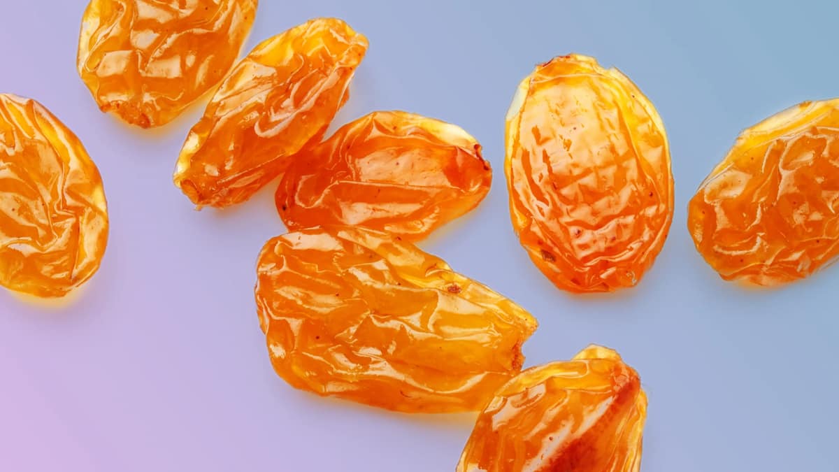  First grade golden raisins | Buy at a Cheap Price 