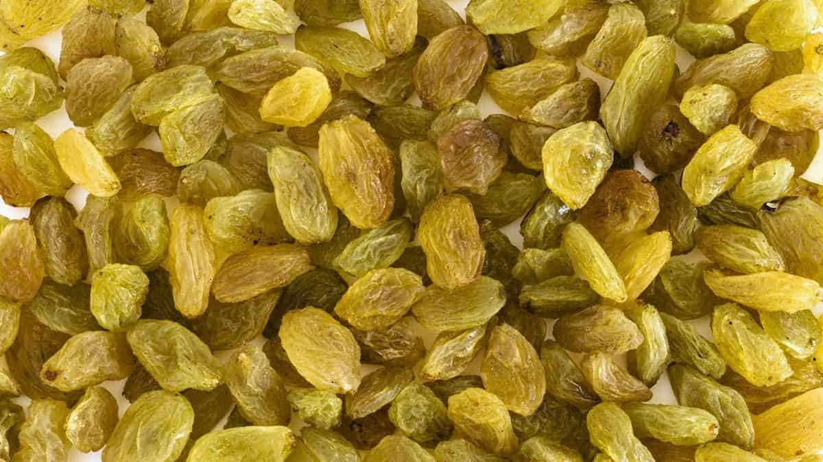  First grade golden raisins | Buy at a Cheap Price 