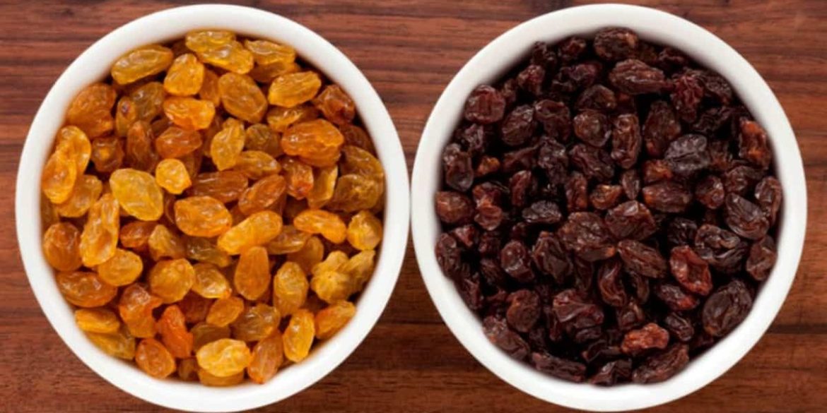 Purchase And Day Price of Raisins Company In India