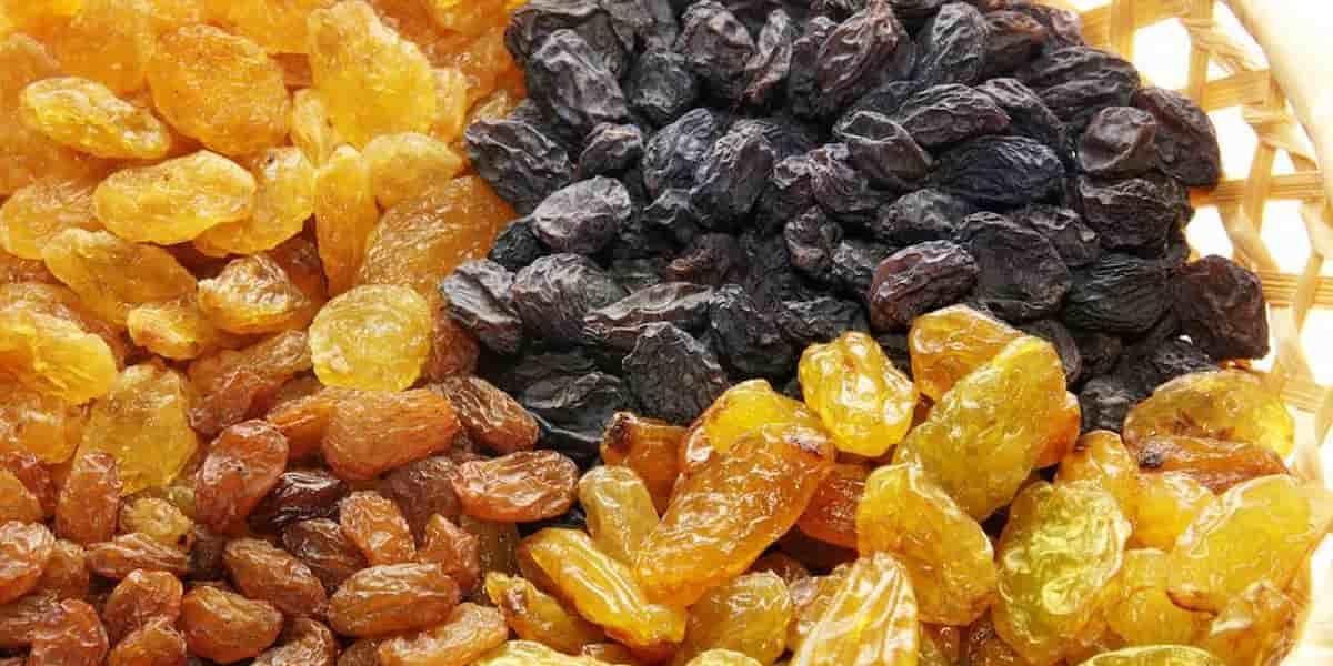 Purchase And Day Price of Raisins Company In India 