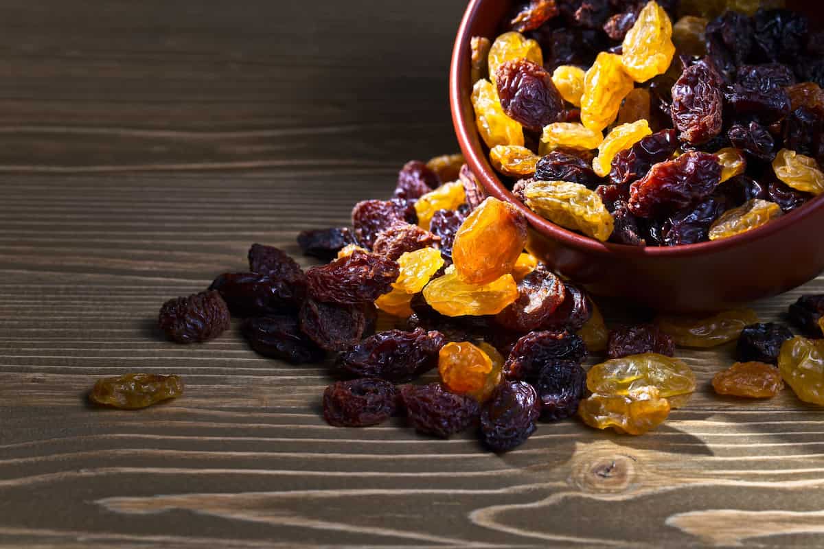  Buy The Best Types of seeded raisins At a Cheap Price 