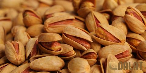 ashburn ga big peanut | Buy at a cheap price