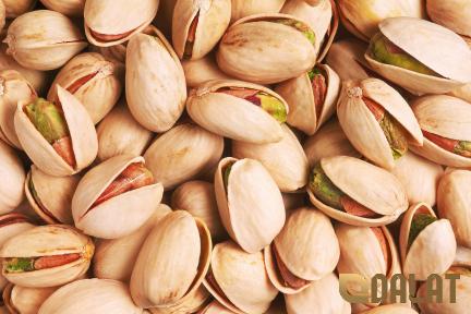 peanut in brain purchase price + sales in trade and export