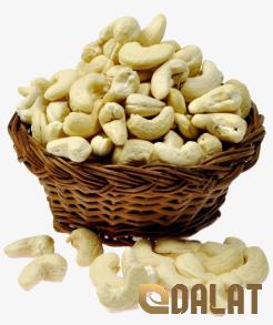 fresh peanut purchase price + sales in trade and export